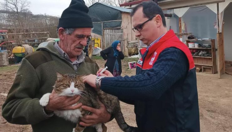 Yığılca İlçe Tarım Sahada: Hayvan Sağlığı İçin Çalışmalar Sürüyor