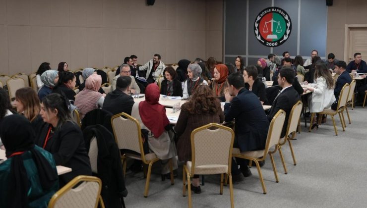 Düzce’de İnsan Hakları ve Toplumsal Farkındalık İçin Kurumlar Arası İş Birliği Çalıştayı Düzenlendi