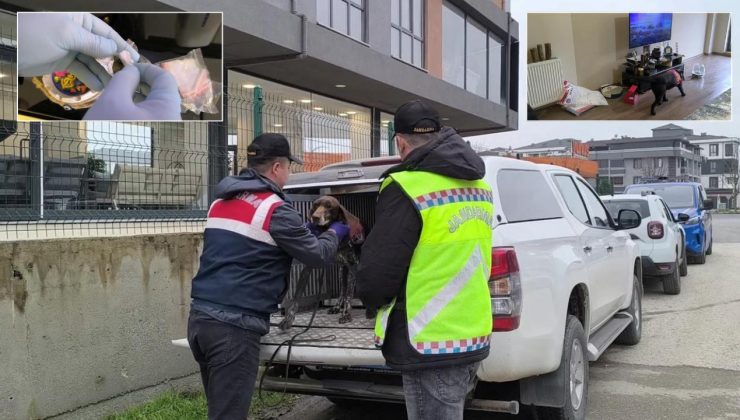 Düzce’de Uyuşturucu Çetesine Ağır Darbe: 36 Gözaltı!