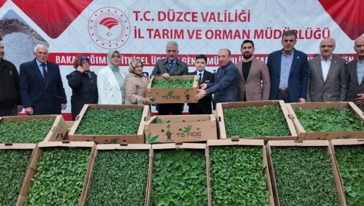 Düzce’de 300 Üreticiye 110 Bin Fide Desteği